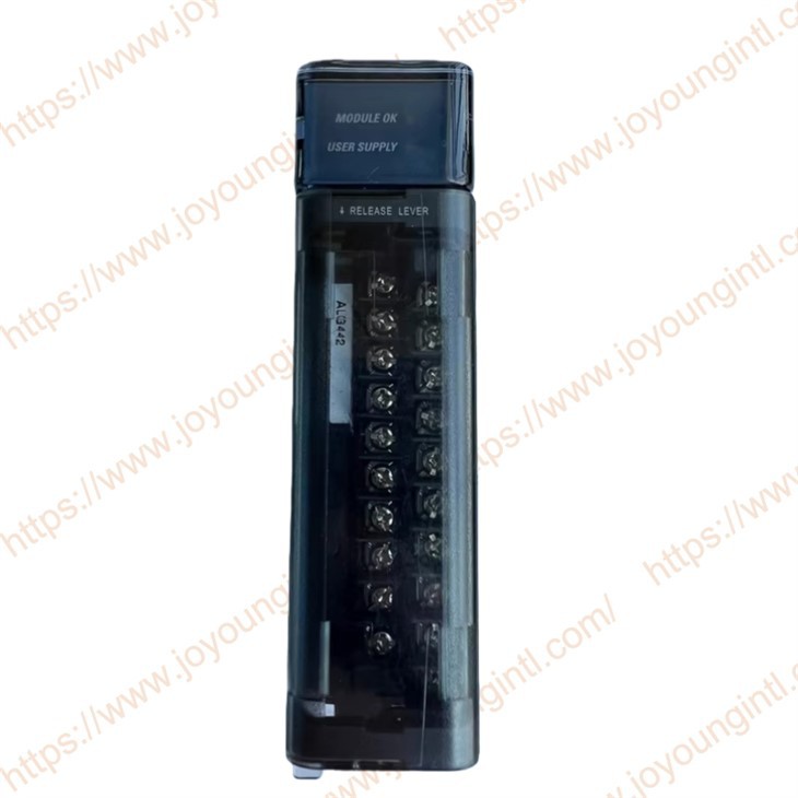 GE Fanuc IC694ALG442 Analog Input Output Module