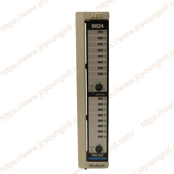 Modicon AS-B824-016 Output Module