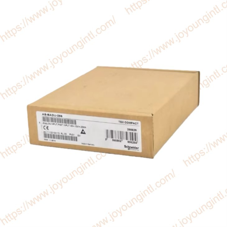 Compact Analog Input AS-BADU-256