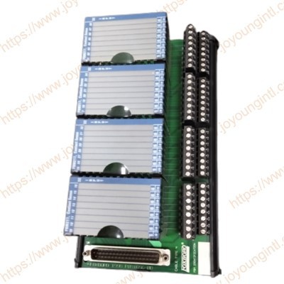 P0916PW FOXBORO FBM217 in Stock